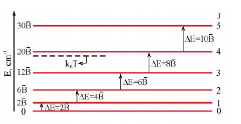 W5. Widmo rotacyjne a struktura molekuł Stała rotacyjna wyrażona w [cm - ] i [m - ] Różnica sąsiednich poziomów