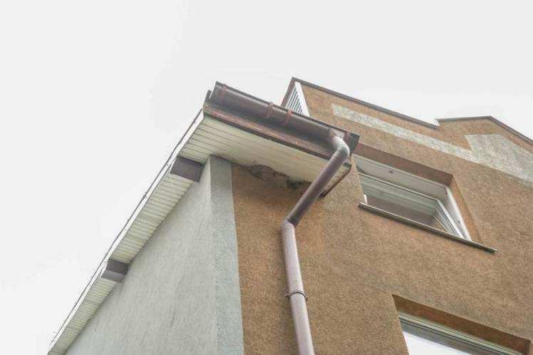 3 gniazda oknówki na elewacji