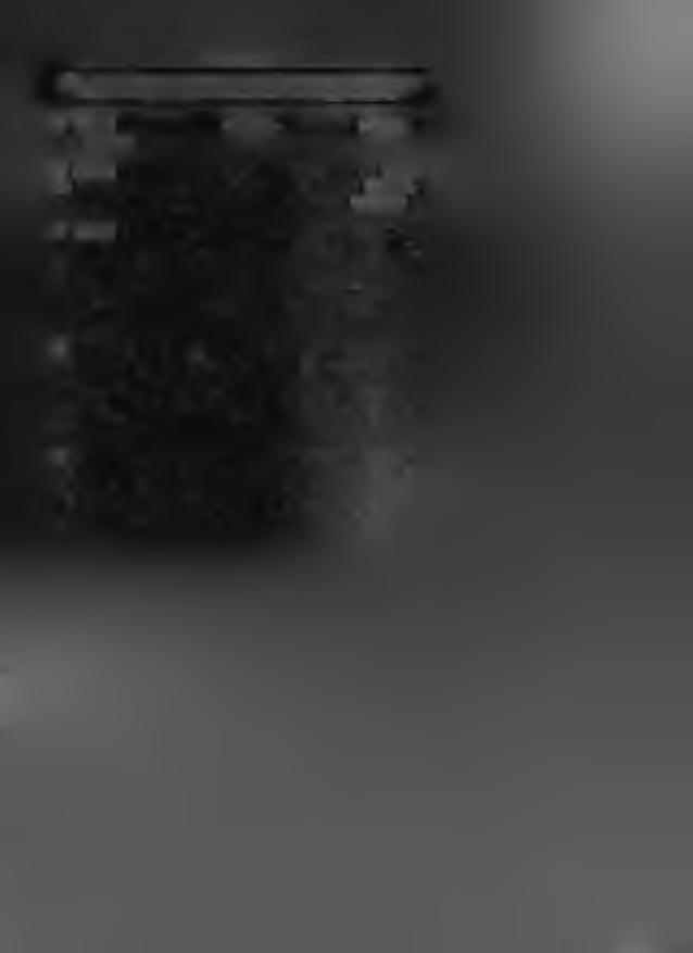 lü PÄ3PEfi Î1pM3HaBaTiw CBaKi/i Ta^an nocrynak ko m ce pa3/imkyje ofl «byna. Boflosaifee npi/uiarofli/rm KOHKpeTHOM Hani/iHy penmabah>a. 1.