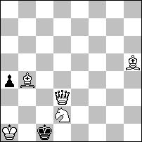 Jarosław BRZOZOWICZ Pojedynek dwu półbaterii: białej Wd3-Pe2-Gf1 z czarną Hh6-Gg6-Pe6 jest niebanalnym pomysłem. Gra tematowa podbudowana została ciekawymi złudami typu Reversal.