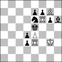 K:e5 Wb5 1 pochwała Aleksandr KOSTIUKOW (Rosja) 2 pochwała Stefan MILEWSKI 3 pochwała A. IWUNIN & A.