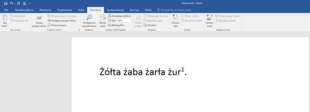 Przypisy Są to dodatkowe objaśnienia, komentarze lub informacje, które odnoszą