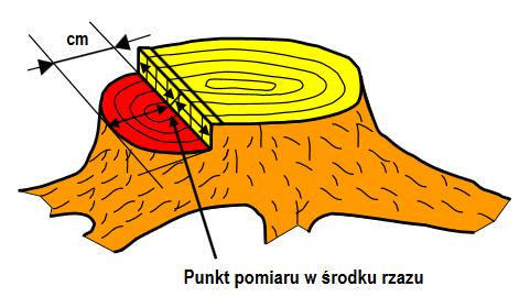 RYS. 5. POMIAR GŁĘBOKOŚCI RZAZU PODCINAJĄCEGO Protokół punkt 4: Kąt rzazu podcinającego Kąt mierzony jest od środka klina pozostałego po rzazie podcinającym, z dokładnością pomiaru do 30 minut.