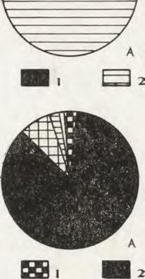 elementów ekologicznych