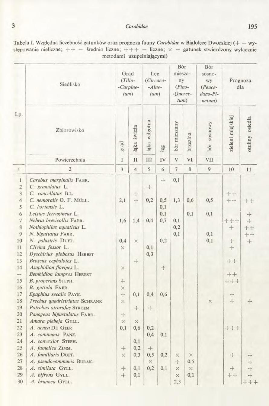 3 Carabidae 195 Tabela I.