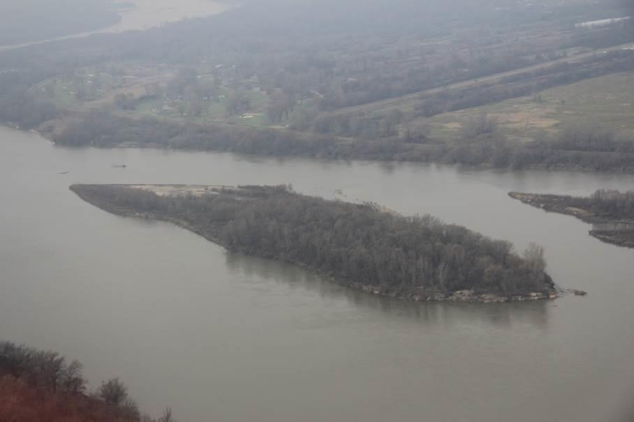 wycinka, karczowanie oraz wypas owiec i kóz (tylko na wyspie utworzonej w ramach zadania C.1 w dzielnicy Praga Północ).