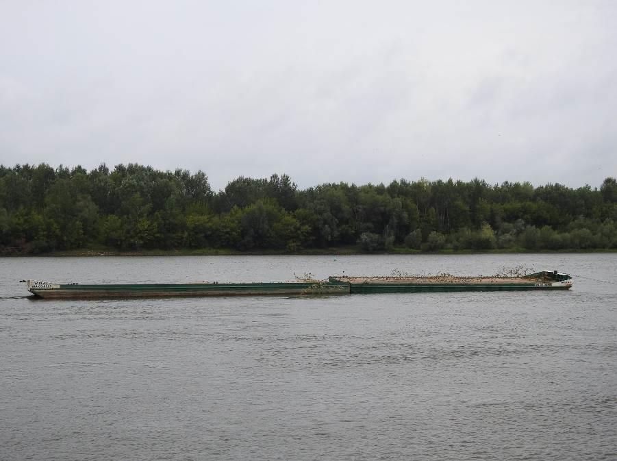 Warszawie, w dzielnicy Bielany (o powierzchni łącznej 200m 2 ) oraz poza obszarem Natura 2000 Dolina Środkowej Wisły, ale w jego bezpośrednim sąsiedztwie w Porcie Żerańskim (200m 2 ) i na Kanale