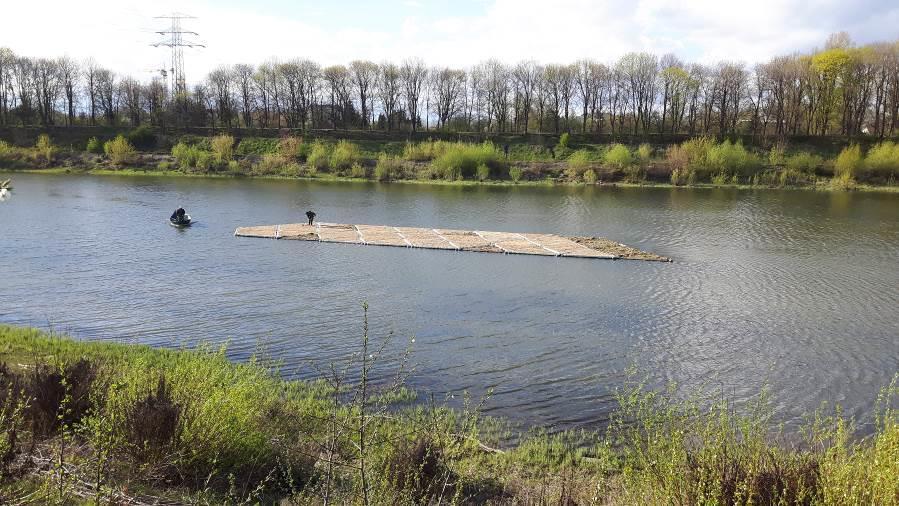 zmierzających do redukcji antropopresji i zagrożeń w miejscach gniazdowania przedmiotów ochrony obszaru Natura 2000 Dolina Środkowej Wisły.