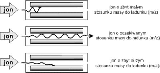 Analizator kwadrupolowy