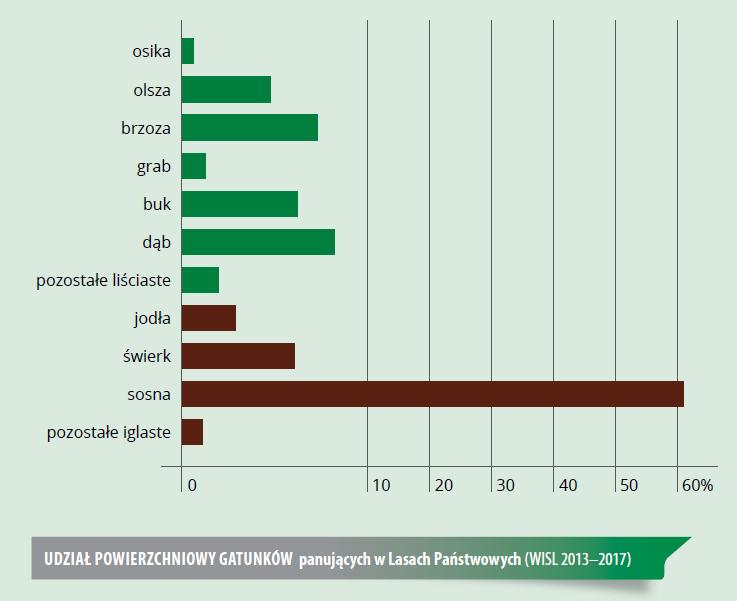 Udział gatunków lasotwórczych w Polsce