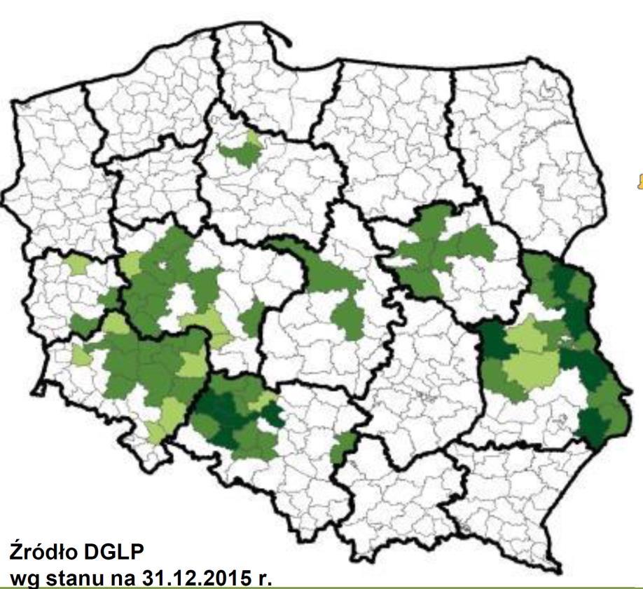 Rosnące zagrożenie dla drzewostanów sosnowych Klimatyczny