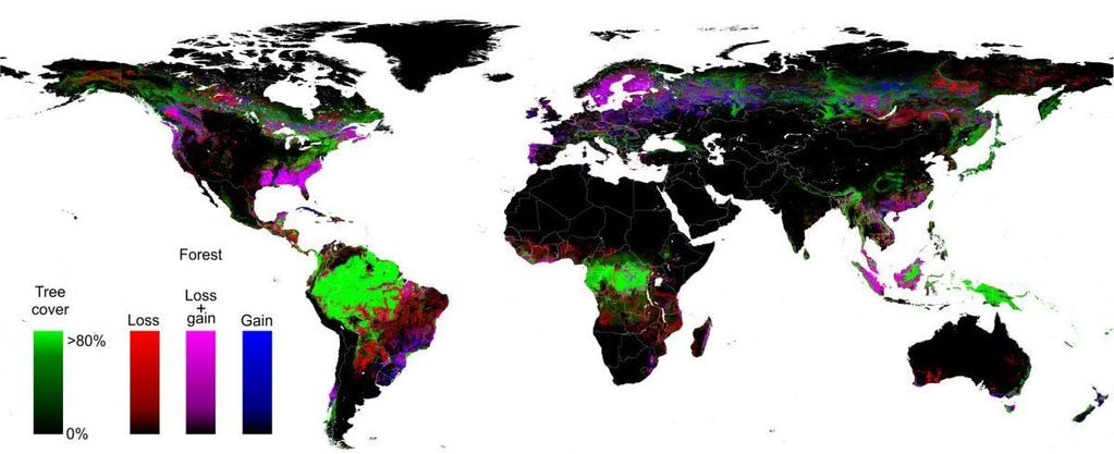 Lasy na świecie Source: M. C.