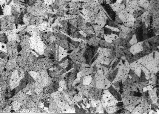 10 µm Rys. 4. Mikrostruktura stopu po austenityzowaniu w 835 C Fig.