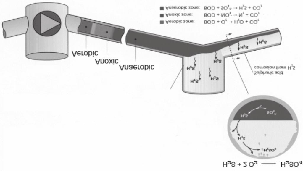 Rys.1 Obecnoœæ okreœlonych stê eñ siarkowodoru w kana³ach œciekowych czêsto powoduje jego emisjê do otoczenia, co w efekcie jest przyczyn¹ powstawania uci¹ liwoœci zapachowych.