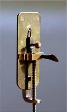 microscope (magnification: