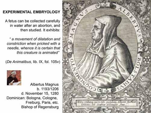 LdV: 1510-12 Fetus Albertus Magnus