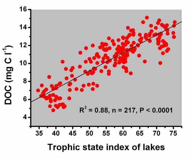 Zawartość DOC w pelagialu jezior wzrasta liniowo wraz ze wzrostem