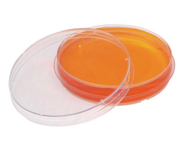 Cena Cena specjalna P-1060 90 x 14,2 mm aseptyczne brak 600 szt. (24 x 25) 216,60 zł 194,94 zł P-1061 90 x 14,2 mm aseptyczne 3 600 szt.