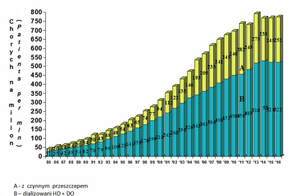 A z czynnym przeszczepem B dializowani HD + DO Rycina 5 Porównanie metod leczenia nerkozastępczego (HD i DO) w Polsce w latach 1985 2016.