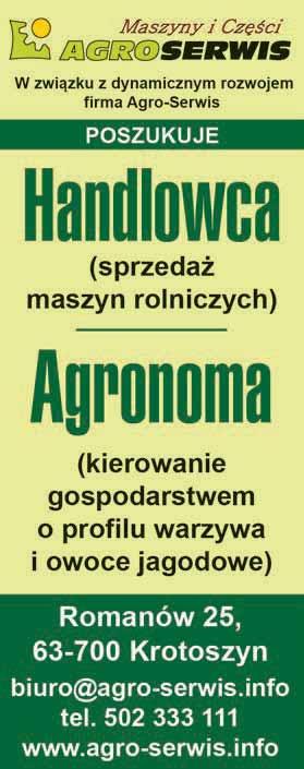 5 Wskazówki dotyczące najlepszej ceny dla handlowców swingowych