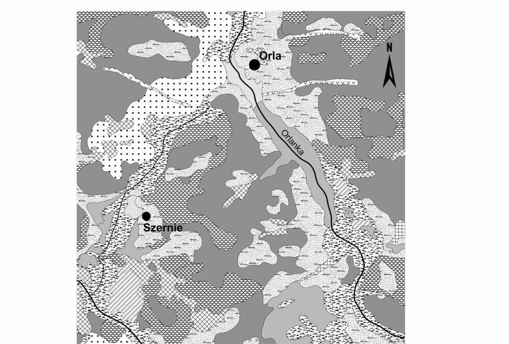 RYSUNEK 2. Szkic geomorfologiczny obszaru badań (Falkowska, 2009, zmienione) FIGURE 2. Geomorphological sketch of the investigated area (after Falkowska, 2009, modified) głównie namułami organicznymi.