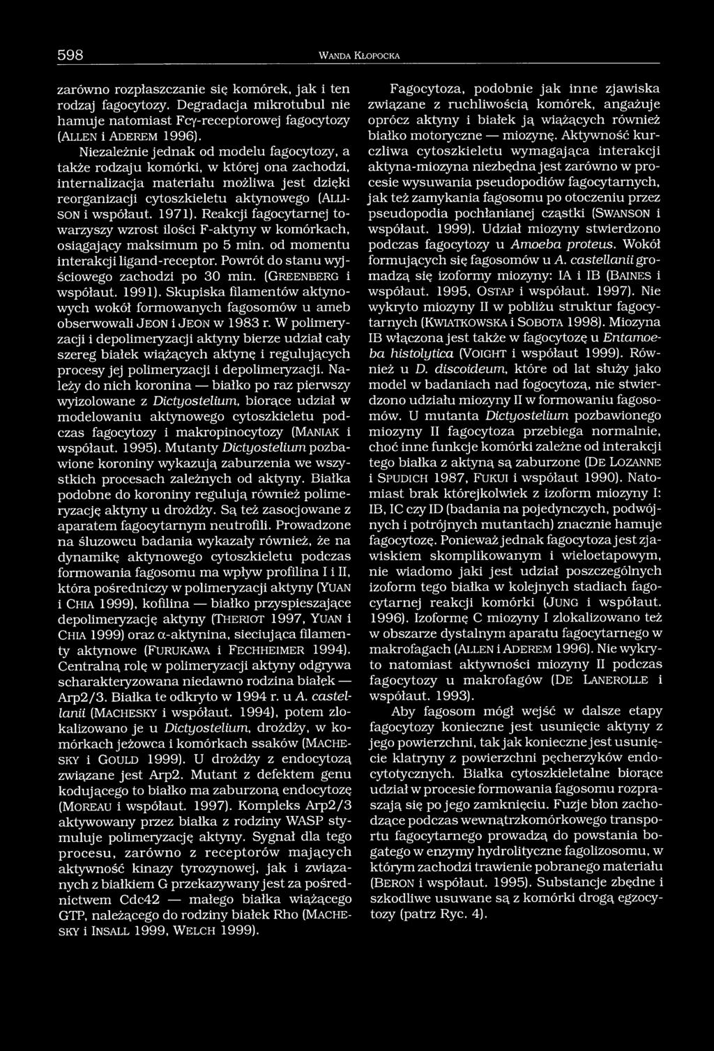 598 W anda K łopocka zarówno rozpłaszczanie się komórek, jak i ten rodzaj fagocytozy. Degradacja mikrotubul nie hamuje natomiast Fcy-receptorowej fagocytozy ( A l l e n i A d e r e m 1996).