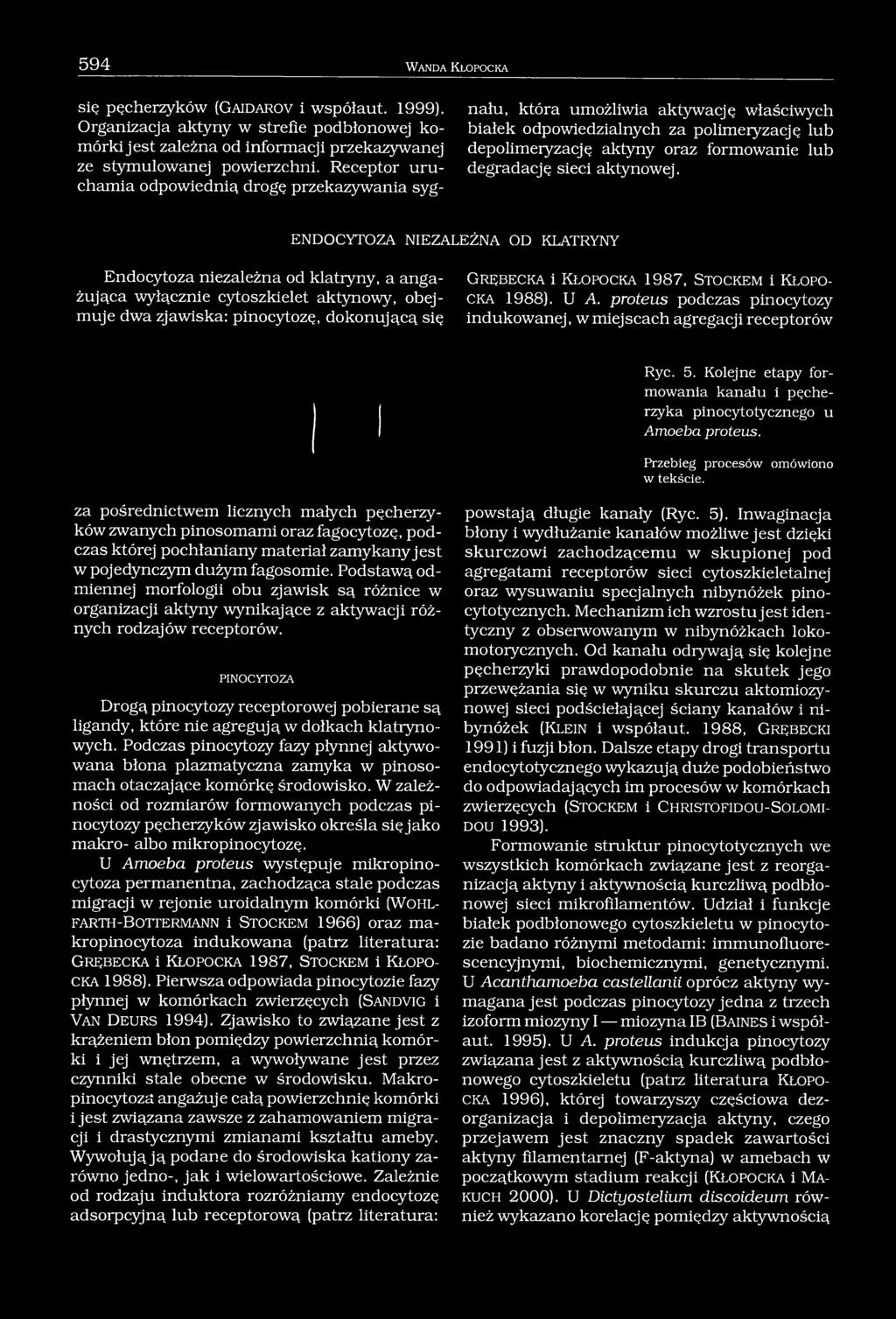 sieci aktynowej.