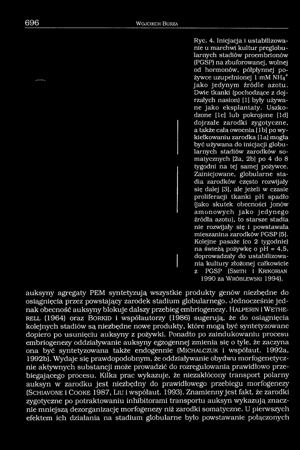 Dwie tkanki (pochodzące z dojrzałych nasion) [1] były używane jako eksplantaty.