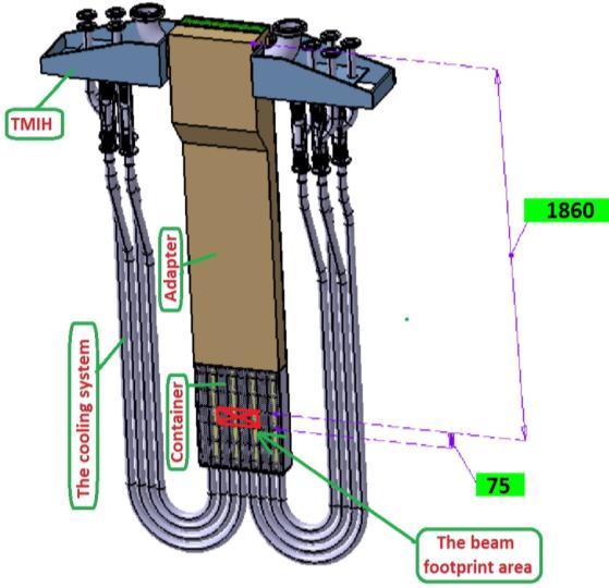 DONES Start-up and Monitoring