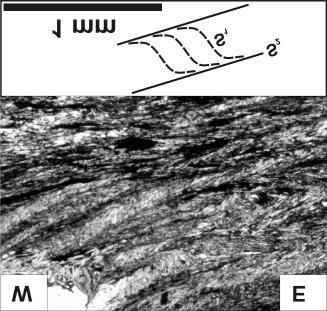 ³yszczyku ró ni¹cych siê miêdzy sob¹ chemizmem (Szczepañski, 1999). Dziêki temu mo liwe jest jednoznaczne rozró nienie poszczególnych generacji struktur planarnych w opisywanych ska³ach.