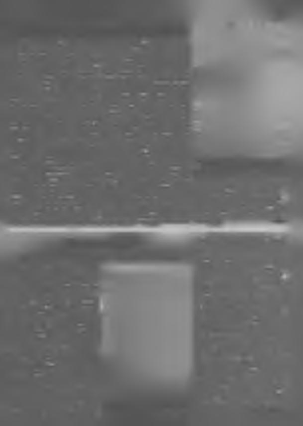 Wulka zahroda, z kotrejež so swćjba tehdy žiwješe, hižo dawno wjac w swćjbnym wobsydstwje njeje. Na njej steji dźensa wulke zarjadniske twarjenje spjatehojĕzora.