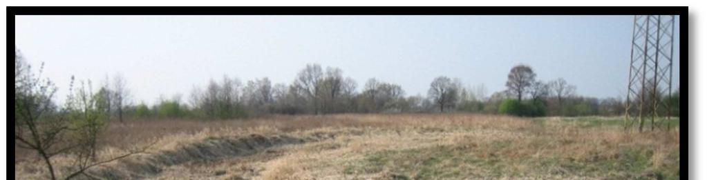 Starorzecze 278 (Mapa 4, Fot.