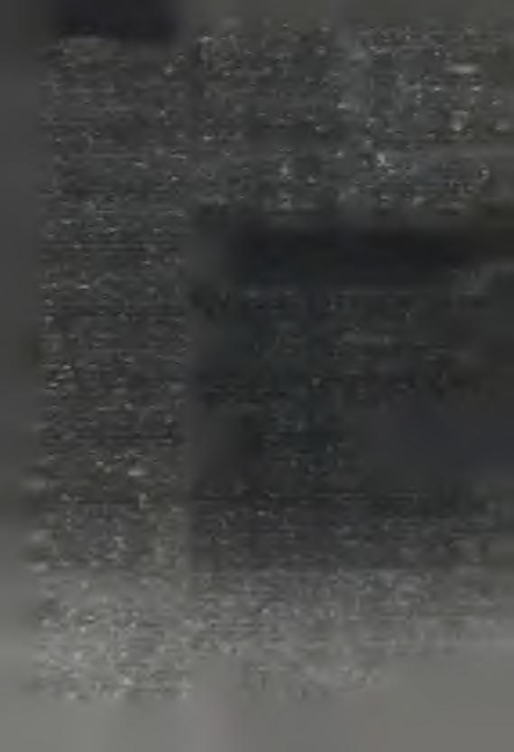 K a k dyrb ja ła W y list čitać w o t čłow jeka, ko try ž je W ašu d źo w ku m orił. A w ona bĕše tola to jen ičke, štož bĕ W am ja k o w o jn skej w u d o w je zw ostalo. To je p řew jełe za m ać!