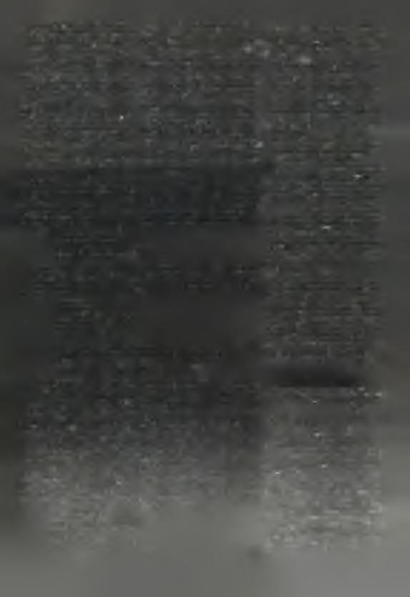 A skdnčnje ju nam akach. N jehibaše so w ja - ce. B ĕch na sm jerć nastrožany. W ona w jace njedychaše. P řim n ych do nĕčeho m okreho. K rej! K ak dołho sym ta kle pola B rigity sedźał?