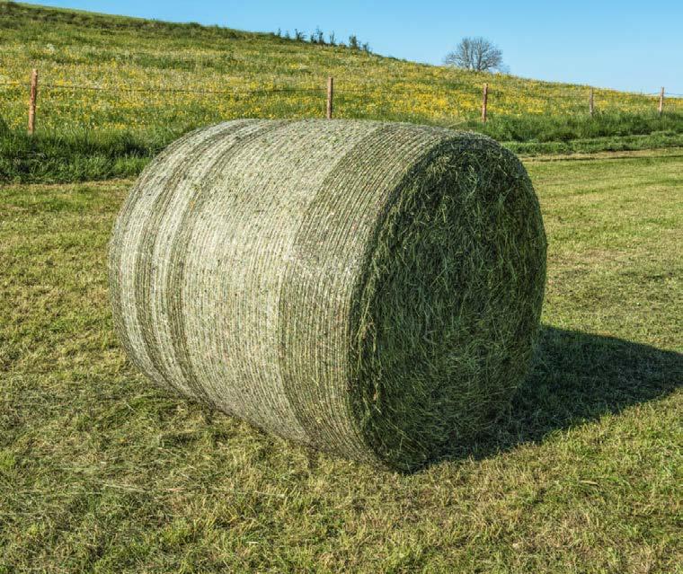 System EasyLoad umożliwia wymianę rolek siatki w możliwie najkrótszym czasie. System wiązania siatką VarioNet działa ze wszystkimi standardowymi szerokościami siatki od 1,18 do 1,35 m.