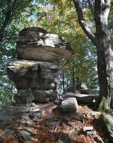 Walory parku Budowa geologiczna Podłoże Parku zbudowane jest z typowych skał fliszowych, należących do płaszczowiny magurskiej.