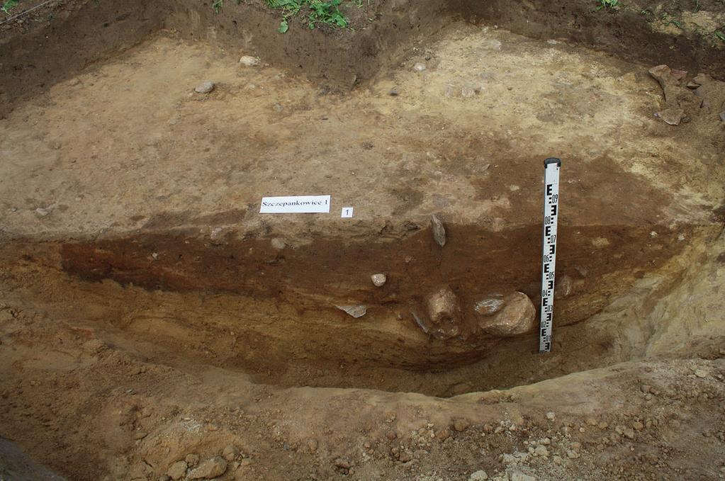 102 M. Furmanek et al. Fig. 10. Szczepankowice site 1, feature 1: SW facing section of IA kiln. Photo by T.