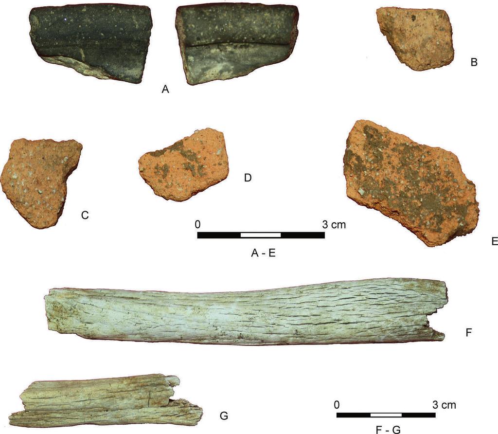 Archaeological potential of the Early Bronze Age 103 Fig. 11. Szczepankowice site 1; La Tène period: feature 1; B, E smoothen ware; F-G burnt bones; feature 3; A fine ware; C, D smoothen ware.