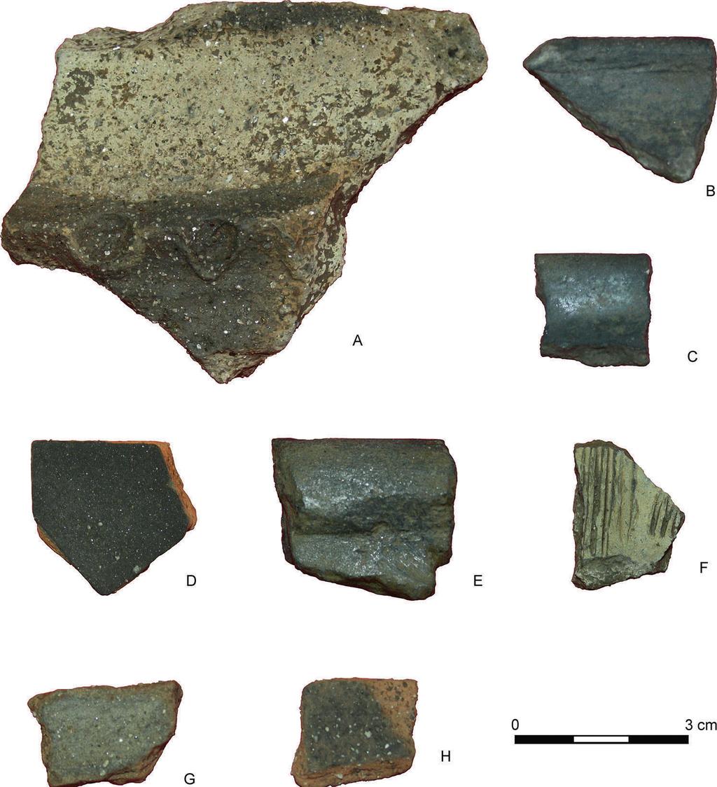 Archaeological potential of the Early Bronze Age 97 Fig. 3. Szczepankowice site 4, surface finds. The Lusatian Culture: A coarse ware; B-C graphitic ware.