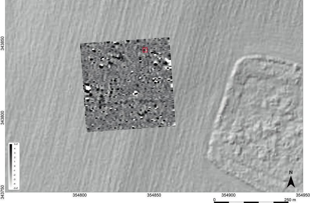 100 M. Furmanek et al. Fig. 7.