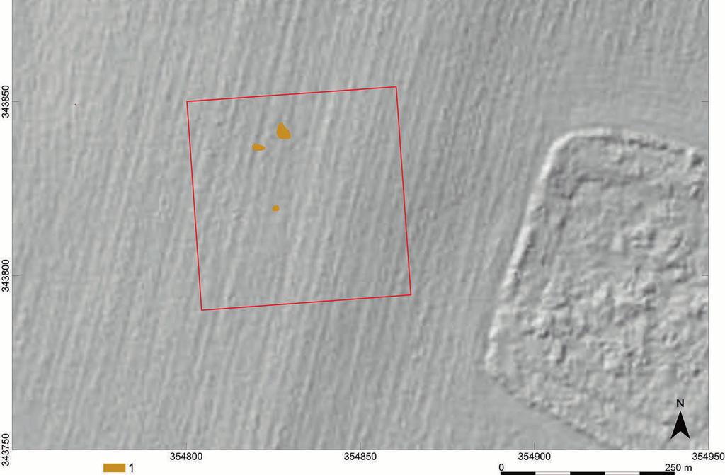Geophysical prospection and greyscale plot with location of the trench 2.