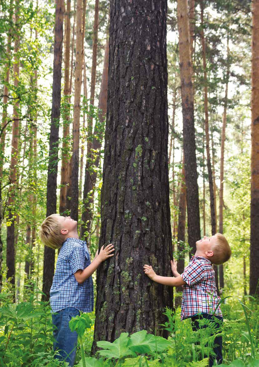 NISKOEMISYJNE OGRZEWANIE JEST KLUCZEM DO ZRÓWNOWAŻONEGO ROZWOJU Obniżanie kosztów i maksymalizacja równowagi ekologicznej to cele, z których wynika coraz większa presja na projektowanie, eksploatację