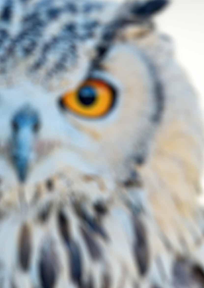 GC EXACLEAR Wyraźny obraz Skontaktuj się ze swoim Konsultantem GC, aby uzyskać więcej informacji o naszych nowościach GC TEMPSMART TM DC i