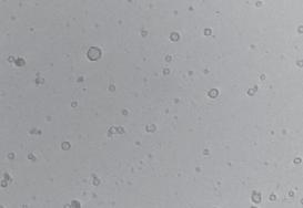 Pokazano również względne pozycje trzech długości fali lasera PicoWay. Dlaczego laser PicoWay przeważa nad Q-Switched?