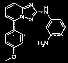 - 199 - Synteza 50 N-[5-(4-Metoksy-fenylo)-[1,2,4] triazolo [1,5-a] pirydyn-2-ylo]-benzeno-1,3-diamina (XX- 061) [0414] [0415] Ester tert-butylowy kwasu {4-[5-(4-metoksy-fenylo)-[1,2,4] triazolo