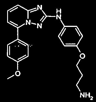 - 201 - Synteza 52 [4-(3-Amino-propoksy)-fenylo]-(5-(4-metoksy-fenylo)-[1,2,4] triazolo [1,5-a] pirydyn-2-ylo] amina (XX -041) [0422] [0423] Do roztworu