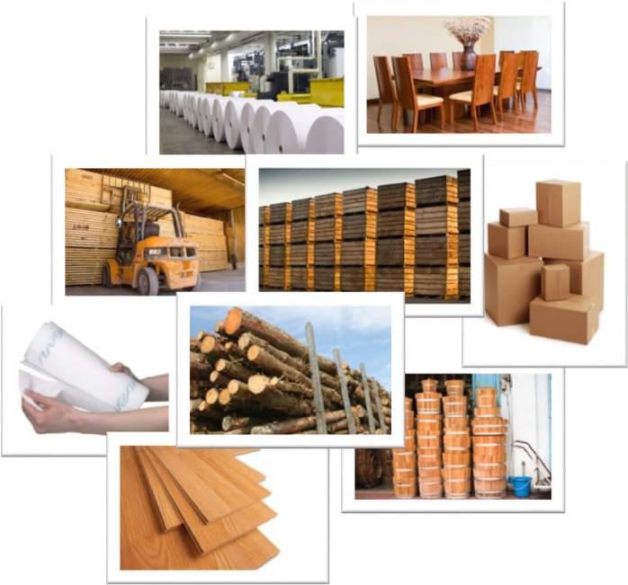 Zakres 1. Który produkty są objęte?