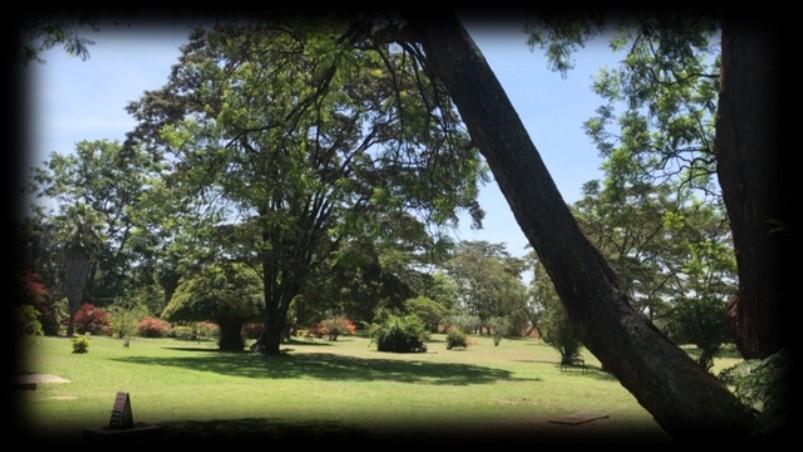 Dear Parishioners, I would like to warmly greet you from the sunny capital of Kenya, Nairobi.