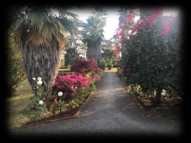On February 13, I begin my 30-day retreat in silence. I would like to ask you for a prayer for this intention.