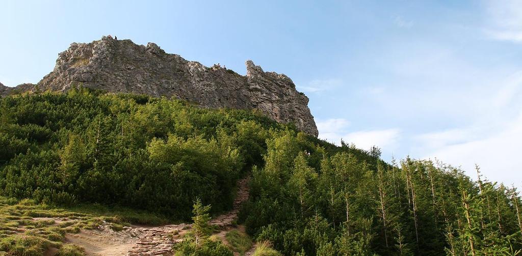: Dolina Kościeliska -Jaskinia Mroźna, Papugarnia -